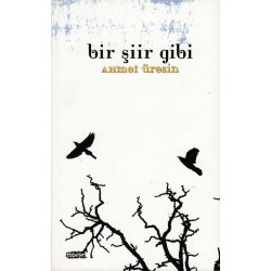 Bir Şiir Gibi