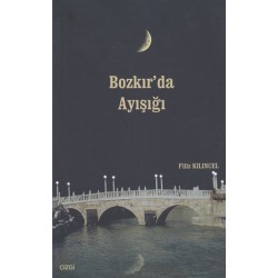 Bozkır'da Ayışığı