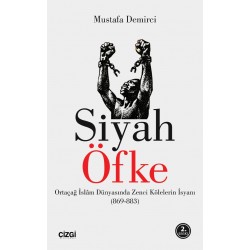 Siyah Öfke | Ortaçağ İslam Dünyasında Zenci Kölelerin İsyanı 869-883