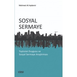 Sosyal Sermaye | Topluluk Duygusu ve Sosyal Sermaye Araştırması