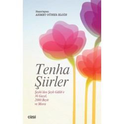 Tenha Şiirler | Şeyhi'den Şeyh Galib'e 36 Gazel 2000 Beyit ve Mısra