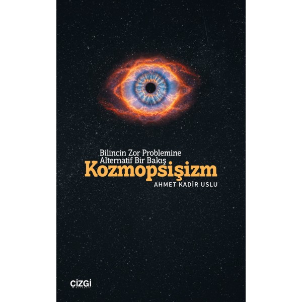 Bilincin Zor Problemine Alternatif Bir Bakış | Kozmopsişizm