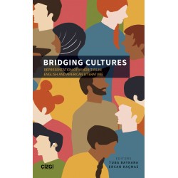 Bridging Cultures | Representation of Minorities in English and American Literature