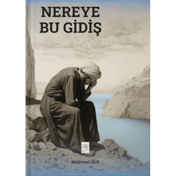 Nereye Bu Gidiş