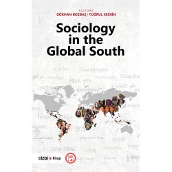 Sociology in the Global South (e-kitap)